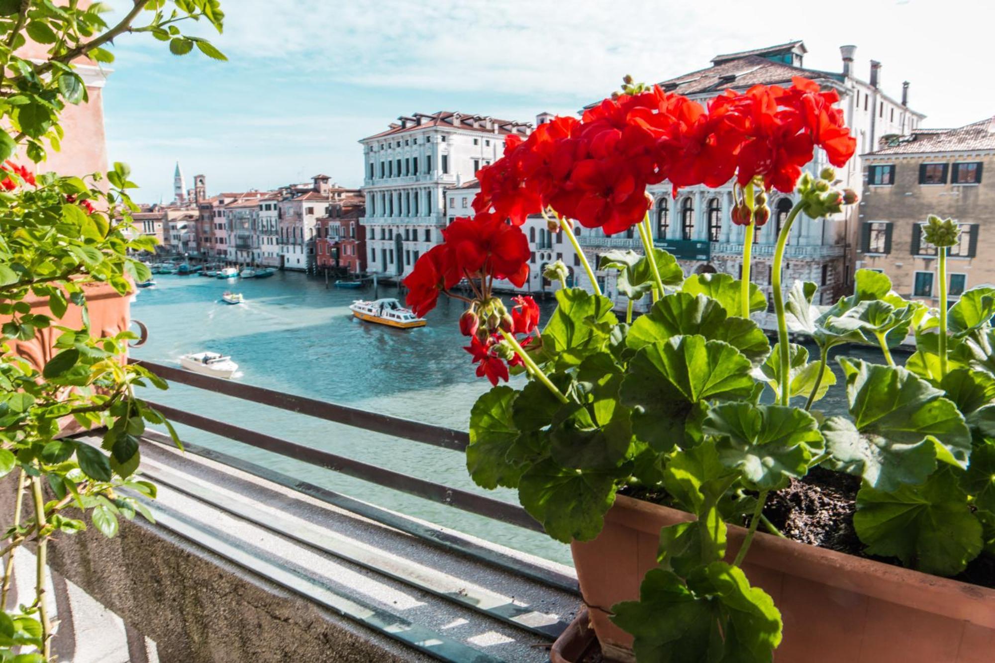 Ca Zulian Venice - Grand Canal Esterno foto